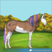 Horse Color:Painted Silver Brown Dun Splash 