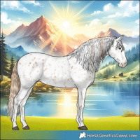 Horse Color:Chestnut Leopard  and Chestnut Leopard 