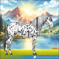 Horse Color:Black Leopard  and Black Leopard 