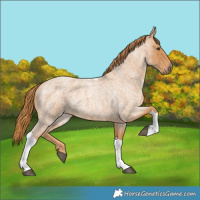 Horse Color:Red Roan Tobiano 