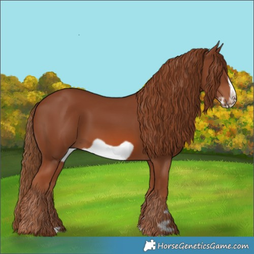 Horse Color:Chestnut Frame 