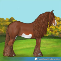 Horse Color:Chestnut Frame