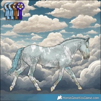 Horse Color:Watercolor White Spotted Liver Red Dun 