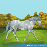 Horse Color:Watercolor White Spotted Liver Red Dun 