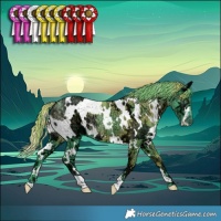 Horse Color:Watercolor White Spotted Chocolate Smoky Black Chinchilla Ice 