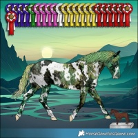 Horse Color:Watercolor White Spotted Chocolate Smoky Black Chinchilla Ice 