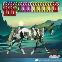 Horse Color:Watercolor White Spotted Chocolate Smoky Black Chinchilla Ice 