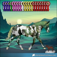 Horse Color:Watercolor White Spotted Chocolate Smoky Black Chinchilla Ice