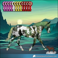 Horse Color:Watercolor White Spotted Chocolate Smoky Black Chinchilla Ice