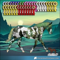Horse Color:Watercolor White Spotted Chocolate Smoky Black Chinchilla Ice