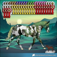 Horse Color:Watercolor White Spotted Chocolate Smoky Black Chinchilla Ice 