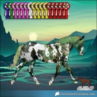 Horse Color:Watercolor White Spotted Chocolate Smoky Black Chinchilla Ice 