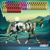 Horse Color:Watercolor White Spotted Chocolate Smoky Black Chinchilla Ice 