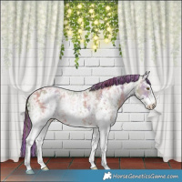 Horse Color:Painted Nacre Sable Champagne Ice Sabino 