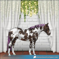 Horse Color:Painted Plaid  White Spotted Brown Ice 