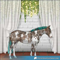Horse Color:Painted Plaid  White Spotted Brown Ice Sabino 