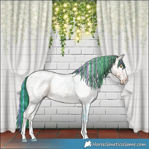 Horse Color:Painted White Spotted Amber Champagne Ice 