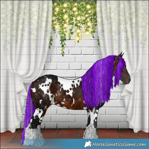 Horse Color:Painted White Spotted Brown Ice
