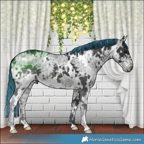 Horse Color:Painted White Spotted Brown Ice 