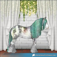 Horse Color:Painted Nacre White Spotted Brown Ice Sabino 