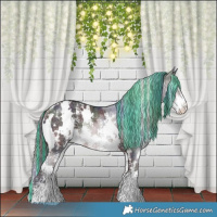 Horse Color:Painted Nacre White Spotted Brown Ice Sabino
