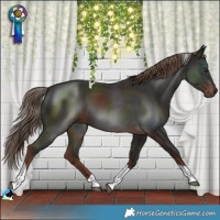 Horse Color:Liver Chestnut Tobiano 
