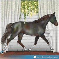 Horse Color:Liver Chestnut Tobiano 