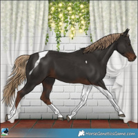Horse Color:Liver Chestnut Tobiano 