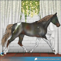 Horse Color:Liver Chestnut Tobiano 