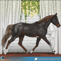 Horse Color:Liver Chestnut Tobiano 