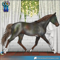 Horse Color:Liver Chestnut Tobiano 