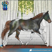 Horse Color:Liver Chestnut Tobiano 