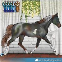 Horse Color:Liver Chestnut Tobiano 