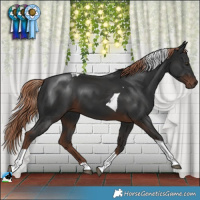 Horse Color:Liver Chestnut Tobiano 
