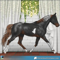 Horse Color:Liver Chestnut Tobiano 
