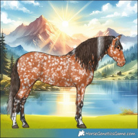 Horse Color:Bay Snowflake Varnish  and Bay Snowflake Varnish 