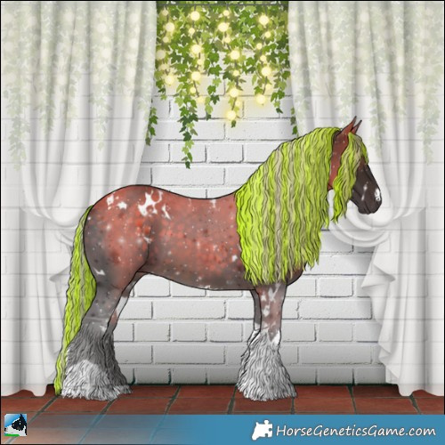 Horse Color:Painted White Spotted Silver Brown Tobiano