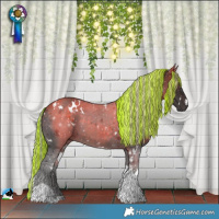 Horse Color:Painted White Spotted Silver Brown Tobiano