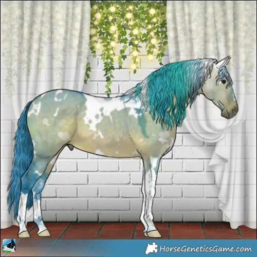 Horse Color:Watercolor White Spotted Brown Dun Tobiano 