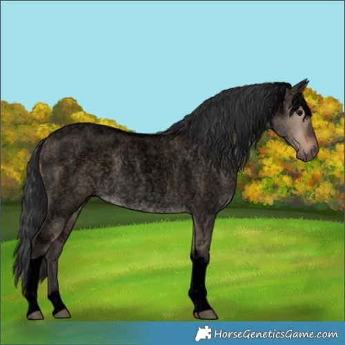 Horse Color:Void Brown Roan Dun Tobiano 