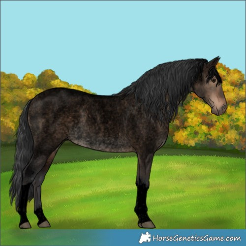 Horse Color:Void Brown Roan Dun Tobiano 