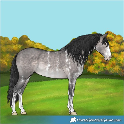 Horse Color:Platinum Brown Dun Sabino 