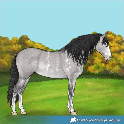 Horse Color:Platinum Brown Dun Sabino 