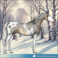 Horse Color:Silver Buckskin Roan Splash Tobiano 