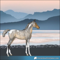 Horse Color:Silver Buckskin Roan Tobiano 