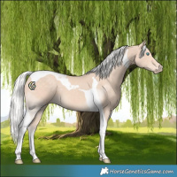 Horse Color:Silver Perlino Tobiano