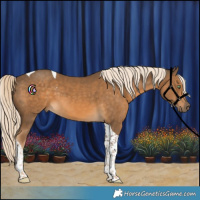 Horse Color:Chocolate Palomino Tobiano 