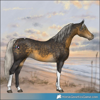 Horse Color:Silver Buckskin Tobiano 