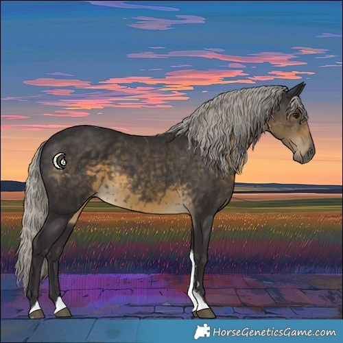 Horse Color:Silver Smoky Black Tobiano 