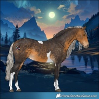 Horse Color:Silver Buckskin Tobiano